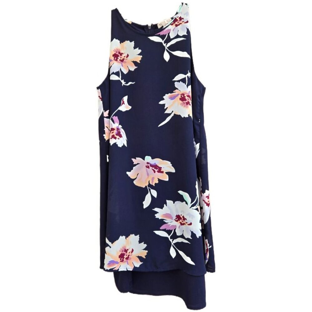 Lila Rose Sleeveless Trapeze Dress - Size 6